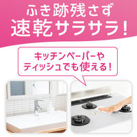 クイックル ホームリセット 泡クリーナー 香りが残らないタイプ つめかえ用 250ml 1セット（2個） 花王