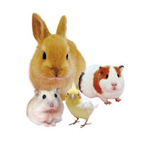 小動物のかじっておいしい ミニコーン 小動物 200g 3袋 ドギーマン