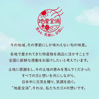 カゴメ 野菜生活100 愛媛キウイミックス 195ml 1セット（48本）