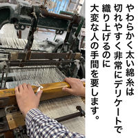 GuttoGood やわらか食器ふきん 綿100% 約33×35cm ホワイト K68400 1パック（2枚入）サンベルム