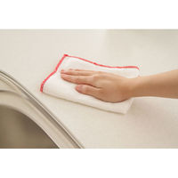 ビストロ先生 綿ガーゼふきん 台ふきん 食器ふきん のり付け加工なし 2枚入 1パック サンベルム