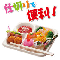 使いやすいプレート スクエア 1セット（5枚入×2袋） 東洋アルミエコープロダクツ