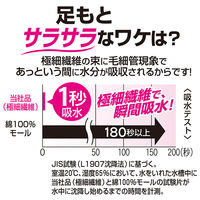 NEW瞬間吸水 バスマット レギュラー グリーンS 約33×50cm レック(BB-469)