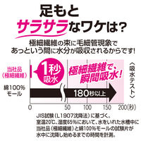 NEW瞬間吸水 バスマット レギュラー ピンク M 約40×60cm レック(BB-471)