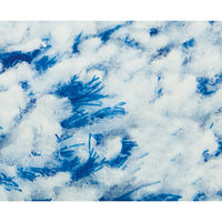 しぼれる回転窓みがき伸縮 1個 レック