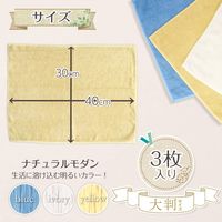 激落ちくん GN大判ふきん 3色（ブルー/アイボリー/イエロー） 40×30cm 1個（3枚入） レック