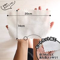 GNサッと使えるマイクロファイバーふきん15枚入り K003 1セット（15枚入×2個） レック