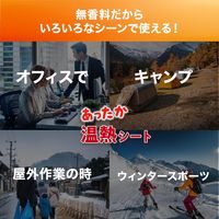 錦尚金 NISHIKIN　あったか温熱シート　首用 4582559949246 1個(3枚)（直送品）