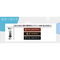 ダリヤ サロンドプロ EX　メンズヘアマニキュア（白髪用） 6　ダークブラウン 4904651182930 1個（直送品）