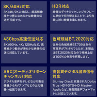 サンワサプライ  アーマードHDMIケーブル（10m） KM-HD20-UFBA10（直送品）