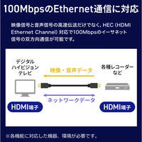 サンワサプライ  アーマードHDMIケーブル（50m） KM-HD20-UFBA50（直送品）