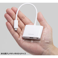サンワサプライ  イヤフォンジャック付きType-Cハブ USB-5TCPA23W（直送品）