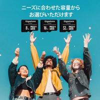 GIGASTONE microSDHCカード 32GB class10 10枚入り GJM10-32G10PK 1セット