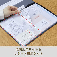 キングジム レシート/領収書スキャンホルダー ブラック 790ーBK 1セット（1枚×30）