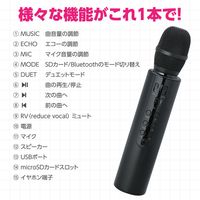 アーテック 拡声器付きマイク 52313 1本