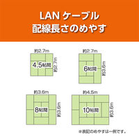 ナカバヤシ カテゴリー6A 固定できるLANケーブル ブラック 1m C6A-K010BK 1個