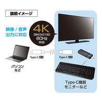 ナカバヤシ USB3.2 延長ケーブル TypeーC 0.5m ブラック USB-EC3005BK 1個