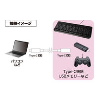ナカバヤシ USB2.0 延長ケーブル TypeーC PD100W対応 0.5m ブラック USB-EC2005BK 1個