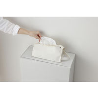 リス 通路で使える分別ダストボックス ワイド 2段 2P ゴミ箱 スリム 縦型 上段22.5L＋下段22.5L グレー GPRB058 1台