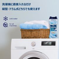 ダウニー（Downy） ブレンズ メドウレイン 235g 1個 柔軟剤ビーズ P＆G