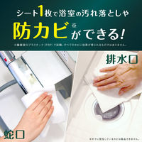 エリエール キレキラ！バスルームクリーナー 徹底キレイ ウェットシート 1パック（20枚入） 大王製紙