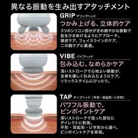 大東電機工業 スライヴ スリースタイルガン ホワイト BMー01(WH) 1台