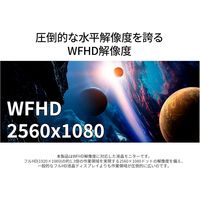 JAPANNEXT 29インチ ウルトラワイド液晶モニター　TypeーC給電 JNーIPS291WFHDRーC65W 1台