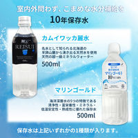 熱中症対策キット 9点 シルバー 1セット 熱中症対策用品 暑さ対策 クーラーバッグ コンパクト 瞬間冷却剤 ゼリー ドリンク（直送品）