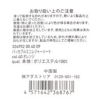 パッカブルミニレジャシート ブラック LAKOLE/ラコレ