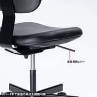 サンワサプライ 導電チェア ブラック SNC-D33 1脚（直送品）