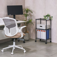 ドウシシャ ルミナスEXラック　3段　幅445×奥行295×高さ760ｍｍ　ブラック