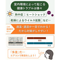 温湿度計 タニタ 大型デジタル温湿度計 大きい 日時時計表示  TTーA01 1個