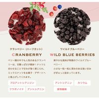 ミックスナッツ ドライフルーツ 大袋 ジッパー付き ラッキー ベリーナッツ 250g 1セット（1個×3） 味源