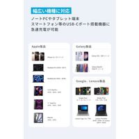 Anker PowerLine III Flow CtoC ケーブル 1.8m B8553013 1セット(2本セット)