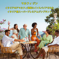 イタリア マルフィ ジン コン リモーネ 41度 700ml 1本 正規品 ペルノリカール