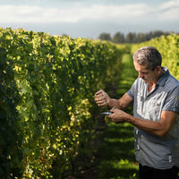 ニュージーランド ブランコット クラシック ソーヴィニヨンブラン 白ワイン 辛口 750ml 1本 ペルノリカール