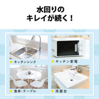 【アウトレット】【Goエシカル】訳あり エレコム クリーナー 液体 除菌 汚れ落とし フッ素コート 時短 300ml HAーCKKC300 1個