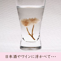 スイートサクラティー 桜花 1箱（4個入） 桜茶 個包装