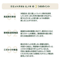 溝端紙工印刷 ウエットタオル ヒノキ 平型 1箱（800枚：50枚入×16袋） オリジナル