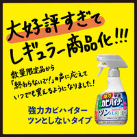 強力カビハイター ツンとしないタイプ 本体 360mL 1セット（1個×5） 花王