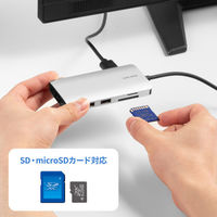 サンワサプライ  USB Type-C ドッキングステーション USB-DKM11S（直送品）