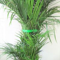 RIP-TIE(リップタイ) リップラップ 12.7mmX22.86m 1巻 黒 G-05-075-BK 1袋(1巻)