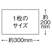 からだふき　ウェットタオルかお・からだ用ウェットシート　大判厚手　メッシュタイプ　無香料　ノンアルコール　1パック（30枚入）　からだふき　ボディシート