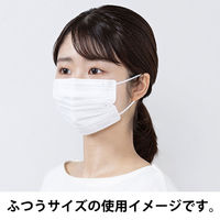 アイリスオーヤマ　デイリーフィットマスク ナノエアーフィルタープラス 小さめ PN-DNI30S 1箱（30枚入）