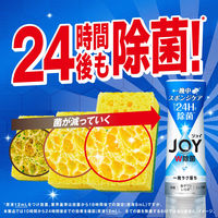 ジョイ W除菌 食器用洗剤 さわやか微香 本体 170mL 1個 P&G
