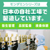 マウスウォッシュ 洗口液 コンパクト モンダミン ペパーミント 濃縮タイプ 220mL 1本 口臭 対策 口内浄化 アース製薬