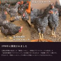 【手土産やお祝いの贈り物に】 青森シャモロック 和の焼肉セットA (1～2人前)　ギフトカード　スタンダード封筒（直送品）