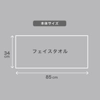 伊藤忠リーテイルリンク 再生繊維使用ご挨拶タオル 1パック（10枚入）