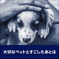 ビオレガード 薬用泡ハンドソープ 本体250mL 無香料 1個 花王