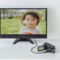 サンワサプライ HDMI変換アダプタ マイクロHDMI AD-HD09MCK 1個